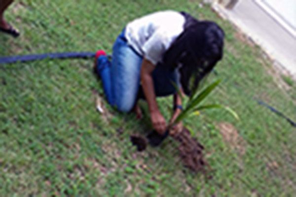 Seminário “Desenvolvimento Sustentável”