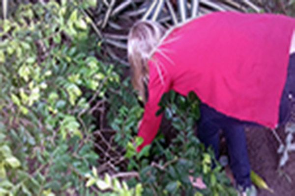 Seminário “Desenvolvimento Sustentável”